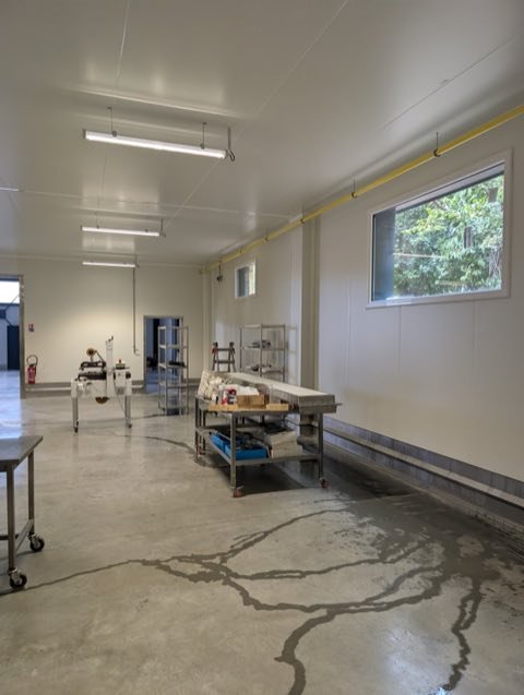 Vitrages d'une usine neuve traités au film de sécurité 125 microns, près de Quimper (29)